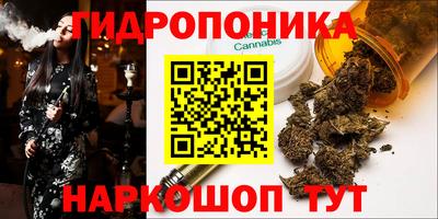 ПСИЛОЦИБИНОВЫЕ ГРИБЫ Нальчик