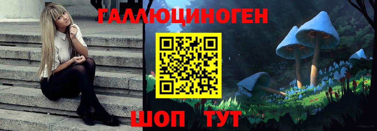 Галлюциногенные грибы Psilocybine cubensis Учалы